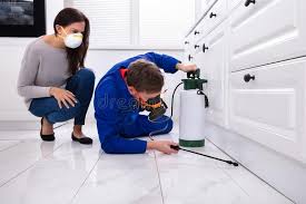 Emergency Pest Control Services in Bressler, PA